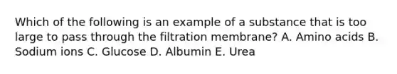 Which of the following is an example of a substance that is too large to pass through the filtration membrane? A. Amino acids B. Sodium ions C. Glucose D. Albumin E. Urea