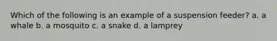 Which of the following is an example of a suspension feeder? a. a whale b. a mosquito c. a snake d. a lamprey