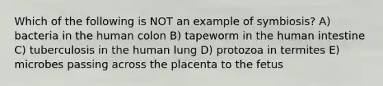 Which of the following is NOT an example of symbiosis? A) bacteria in the human colon B) tapeworm in the human intestine C) tuberculosis in the human lung D) protozoa in termites E) microbes passing across the placenta to the fetus