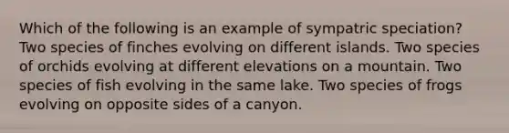 Which of the following is an example of sympatric speciation? Two species of finches evolving on different islands. Two species of orchids evolving at different elevations on a mountain. Two species of fish evolving in the same lake. Two species of frogs evolving on opposite sides of a canyon.