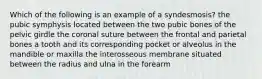 Which of the following is an example of a syndesmosis? the pubic symphysis located between the two pubic bones of the pelvic girdle the coronal suture between the frontal and parietal bones a tooth and its corresponding pocket or alveolus in the mandible or maxilla the interosseous membrane situated between the radius and ulna in the forearm