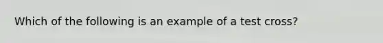 Which of the following is an example of a test cross?