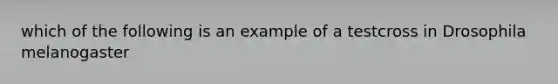 which of the following is an example of a testcross in Drosophila melanogaster