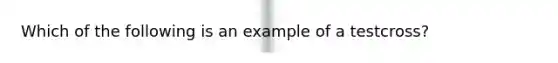 Which of the following is an example of a testcross?