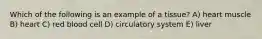 Which of the following is an example of a tissue? A) heart muscle B) heart C) red blood cell D) circulatory system E) liver