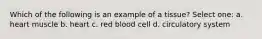 Which of the following is an example of a tissue? Select one: a. heart muscle b. heart c. red blood cell d. circulatory system