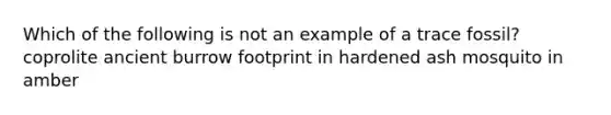 Which of the following is not an example of a trace fossil? coprolite ancient burrow footprint in hardened ash mosquito in amber