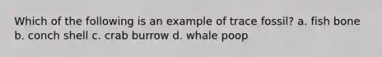 Which of the following is an example of trace fossil? a. fish bone b. conch shell c. crab burrow d. whale poop