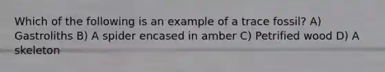 Which of the following is an example of a trace fossil? A) Gastroliths B) A spider encased in amber C) Petrified wood D) A skeleton