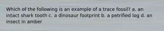 Which of the following is an example of a trace fossil? a. an intact shark tooth c. a dinosaur footprint b. a petrified log d. an insect in amber