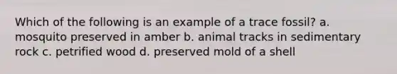 Which of the following is an example of a trace fossil? a. mosquito preserved in amber b. animal tracks in sedimentary rock c. petrified wood d. preserved mold of a shell