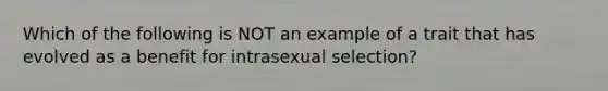 Which of the following is NOT an example of a trait that has evolved as a benefit for intrasexual selection?