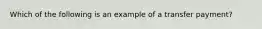 Which of the following is an example of a transfer payment​?