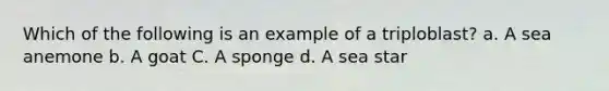 Which of the following is an example of a triploblast? a. A sea anemone b. A goat C. A sponge d. A sea star