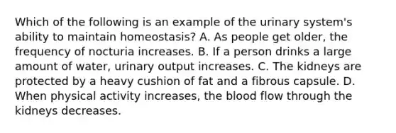 Which of the following is an example of the urinary system's ability to maintain homeostasis? A. As people get older, the frequency of nocturia increases. B. If a person drinks a large amount of water, urinary output increases. C. The kidneys are protected by a heavy cushion of fat and a fibrous capsule. D. When physical activity increases, the blood flow through the kidneys decreases.