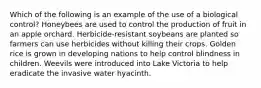 Which of the following is an example of the use of a biological control? Honeybees are used to control the production of fruit in an apple orchard. Herbicide-resistant soybeans are planted so farmers can use herbicides without killing their crops. Golden rice is grown in developing nations to help control blindness in children. Weevils were introduced into Lake Victoria to help eradicate the invasive water hyacinth.