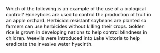 Which of the following is an example of the use of a biological control? Honeybees are used to control the production of fruit in an apple orchard. Herbicide-resistant soybeans are planted so farmers can use herbicides without killing their crops. Golden rice is grown in developing nations to help control blindness in children. Weevils were introduced into Lake Victoria to help eradicate the invasive water hyacinth.
