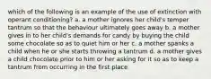 which of the following is an example of the use of extinction with operant conditioning? a. a mother ignores her child's temper tantrum so that the behaviour ultimately goes away b. a mother gives in to her child's demands for candy by buying the child some chocolate so as to quiet him or her c. a mother spanks a child when he or she starts throwing a tantrum d. a mother gives a child chocolate prior to him or her asking for it so as to keep a tantrum from occurring in the first place