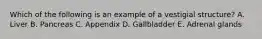 Which of the following is an example of a vestigial structure? A. Liver B. Pancreas C. Appendix D. Gallbladder E. Adrenal glands