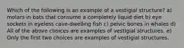 Which of the following is an example of a vestigial structure? a) molars in bats that consume a completely liquid diet b) eye sockets in eyeless cave-dwelling fish c) pelvic bones in whales d) All of the above choices are examples of vestigial structures. e) Only the first two choices are examples of vestigial structures.