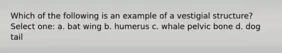 Which of the following is an example of a vestigial structure? Select one: a. bat wing b. humerus c. whale pelvic bone d. dog tail