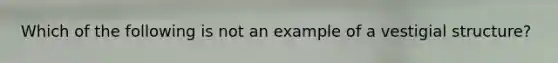 Which of the following is not an example of a vestigial structure?