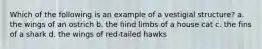 Which of the following is an example of a vestigial structure? a. the wings of an ostrich b. the hind limbs of a house cat c. the fins of a shark d. the wings of red-tailed hawks