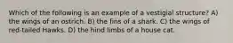 Which of the following is an example of a vestigial structure? A) the wings of an ostrich. B) the fins of a shark. C) the wings of red-tailed Hawks. D) the hind limbs of a house cat.