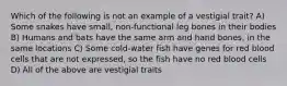 Which of the following is not an example of a vestigial trait? A) Some snakes have small, non-functional leg bones in their bodies B) Humans and bats have the same arm and hand bones, in the same locations C) Some cold-water fish have genes for red blood cells that are not expressed, so the fish have no red blood cells D) All of the above are vestigial traits