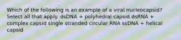 Which of the following is an example of a viral nucleocapsid? Select all that apply. dsDNA + polyhedral capsid dsRNA + complex capsid single stranded circular RNA ssDNA + helical capsid