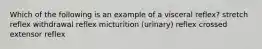 Which of the following is an example of a visceral reflex? stretch reflex withdrawal reflex micturition (urinary) reflex crossed extensor reflex