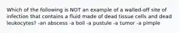 Which of the following is NOT an example of a walled-off site of infection that contains a fluid made of dead tissue cells and dead leukocytes? -an abscess -a boil -a pustule -a tumor -a pimple