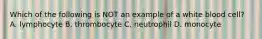 Which of the following is NOT an example of a white blood cell? A. lymphocyte B. thrombocyte C. neutrophil D. monocyte