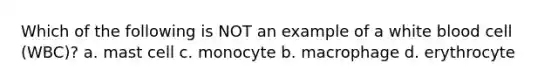 Which of the following is NOT an example of a white blood cell (WBC)? a. mast cell c. monocyte b. macrophage d. erythrocyte