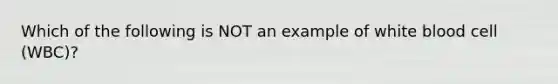 Which of the following is NOT an example of white blood cell (WBC)?