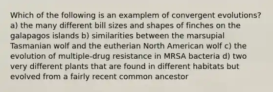 Which of the following is an examplem of convergent evolutions? a) the many different bill sizes and shapes of finches on the galapagos islands b) similarities between the marsupial Tasmanian wolf and the eutherian North American wolf c) the evolution of multiple-drug resistance in MRSA bacteria d) two very different plants that are found in different habitats but evolved from a fairly recent common ancestor