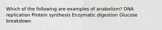 Which of the following are examples of anabolism? DNA replication Protein synthesis Enzymatic digestion Glucose breakdown