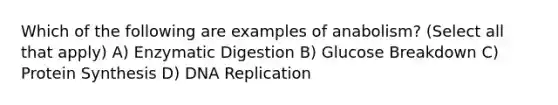 Which of the following are examples of anabolism? (Select all that apply) A) Enzymatic Digestion B) Glucose Breakdown C) Protein Synthesis D) DNA Replication