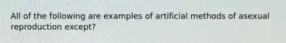 All of the following are examples of artificial methods of asexual reproduction except?
