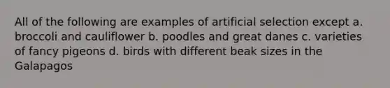 All of the following are examples of artificial selection except a. broccoli and cauliflower b. poodles and great danes c. varieties of fancy pigeons d. birds with different beak sizes in the Galapagos