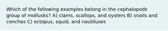 Which of the following examples belong in the cephalopods group of mollusks? A) clams, scallops, and oysters B) snails and conches C) octopus, squid, and nautiluses