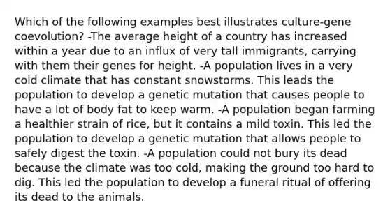 Which of the following examples best illustrates culture-gene coevolution? -The average height of a country has increased within a year due to an influx of very tall immigrants, carrying with them their genes for height. -A population lives in a very cold climate that has constant snowstorms. This leads the population to develop a genetic mutation that causes people to have a lot of body fat to keep warm. -A population began farming a healthier strain of rice, but it contains a mild toxin. This led the population to develop a genetic mutation that allows people to safely digest the toxin. -A population could not bury its dead because the climate was too cold, making the ground too hard to dig. This led the population to develop a funeral ritual of offering its dead to the animals.