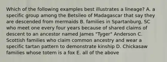 Which of the following examples best illustrates a lineage? A. a specific group among the Betsileo of Madagascar that say they are descended from mermaids B. families in Spartanburg, SC who meet one every four years because of shared claims of descent to an ancestor named James "Tyger" Anderson C. Scottish families who claim common ancestry and wear a specific tartan pattern to demonstrate kinship D. Chickasaw families whose totem is a fox E. all of the above