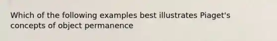 Which of the following examples best illustrates Piaget's concepts of object permanence