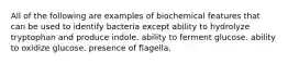 All of the following are examples of biochemical features that can be used to identify bacteria except ability to hydrolyze tryptophan and produce indole. ability to ferment glucose. ability to oxidize glucose. presence of flagella.