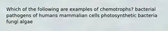 Which of the following are examples of chemotrophs? bacterial pathogens of humans mammalian cells photosynthetic bacteria fungi algae