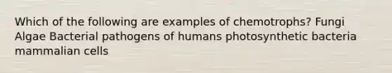 Which of the following are examples of chemotrophs? Fungi Algae Bacterial pathogens of humans photosynthetic bacteria mammalian cells