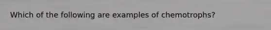 Which of the following are examples of chemotrophs?