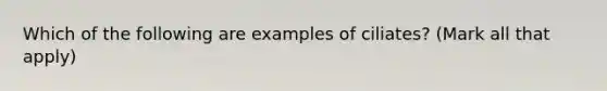 Which of the following are examples of ciliates? (Mark all that apply)