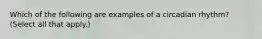 Which of the following are examples of a circadian rhythm? (Select all that apply.)